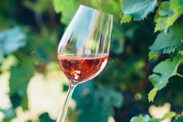 יקב מרנדי (Marandi) באזרביג'אן