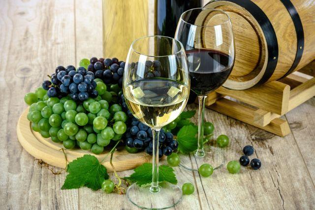 כרמים של ארץ האש (Fireland Vineyards)