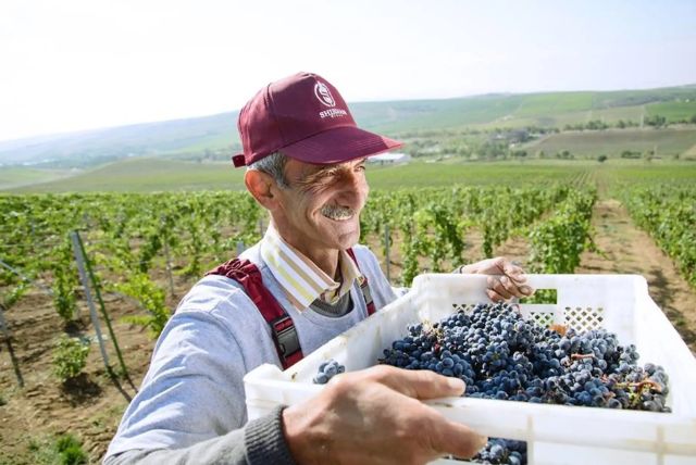 טיול ליקב אורגני בבאקו credit to getyourguide.com