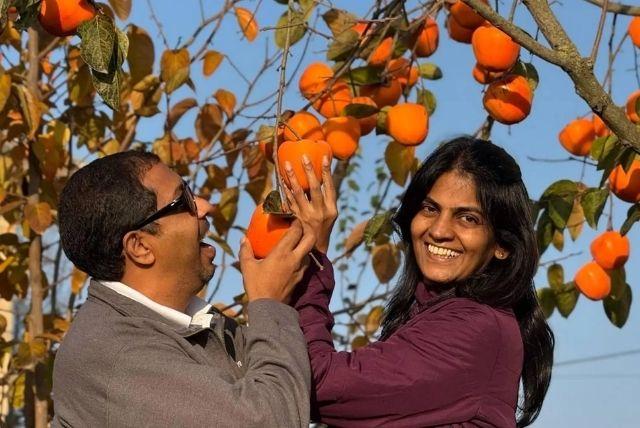 סיור יום מבאקו ללנקראן ואסטארה - כולל מטעי תה, טירת האבן, מוזיאון האתנוגרפיה ושוק ההדרים credit to getyourguide.com