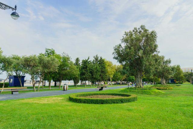 פארקים וטבע ירוק בבאקו ששווה להכיר