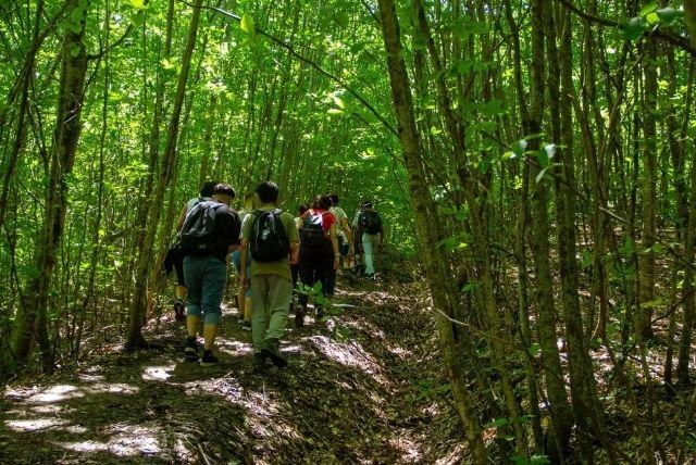 טיול מבאקו לאגם גראנו־הור - טבע הררי ויופי טבעי credit to getyourguide.com