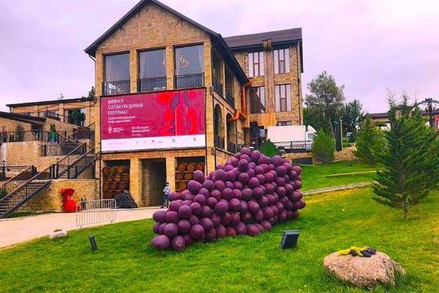 טיול יום מבאקו לשמאחי ההיסטורית וחוות האלפקות - חוויה ייחודית באזרבייג'ן credit to getyourguide.com