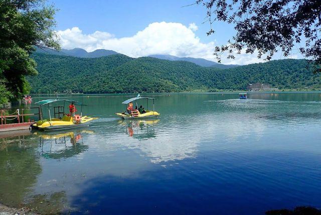 חוות האלפקות באזרבייג'ן - Alpaca Azerbaijan credit to getyourguide.com