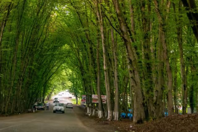 חבילת הכל כלול באזרבייג'ן: באקו, גובוסטאן, שאחדאג ואבשרון - ארבעה סיורים בלתי נשכחים עם מדריך והסעות credit to getyourguide.com
