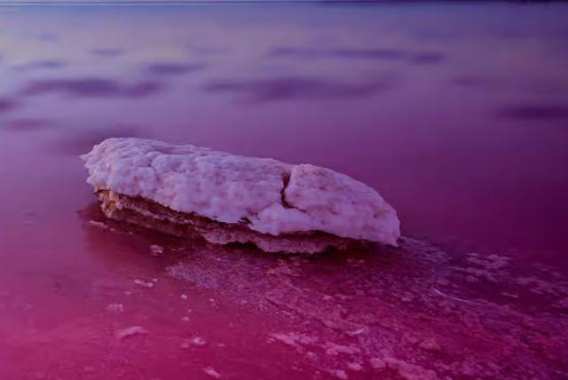 חבילת הכל כלול באזרבייג'ן: באקו, גובוסטאן, שאחדאג ואבשרון - ארבעה סיורים בלתי נשכחים עם מדריך והסעות credit to getyourguide.com