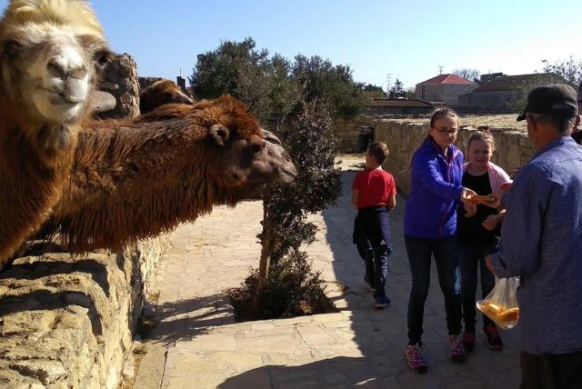 המגדלור של אזרבייג'ן - Artyom Lighthouse credit to getyourguide.com