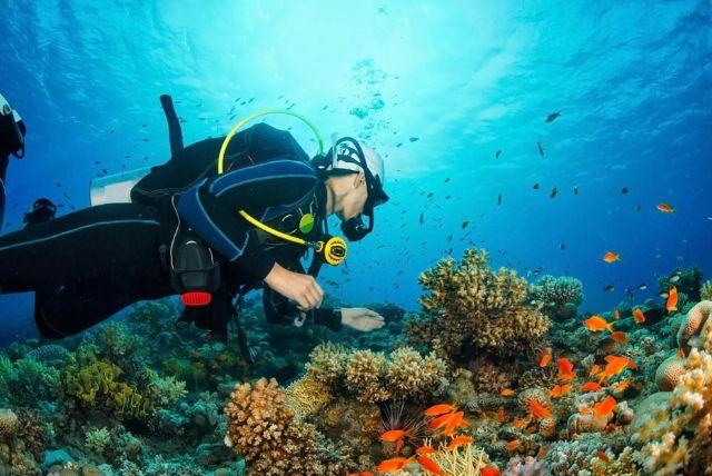 צלילה באזרבייג'ן - המקומות המומלצים ביותר credit to getyourguide.com