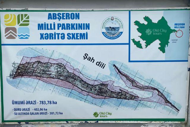 מוזיאון המיחזור באזרבייג'ן - From Waste to Art museum credit to getyourguide.com