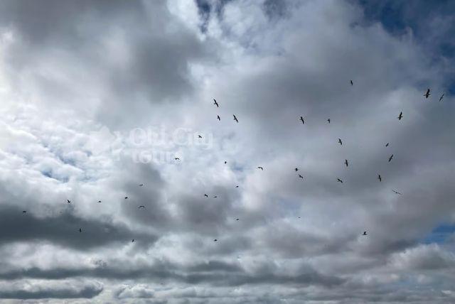 מוזיאון המיחזור באזרבייג'ן - From Waste to Art museum credit to getyourguide.com