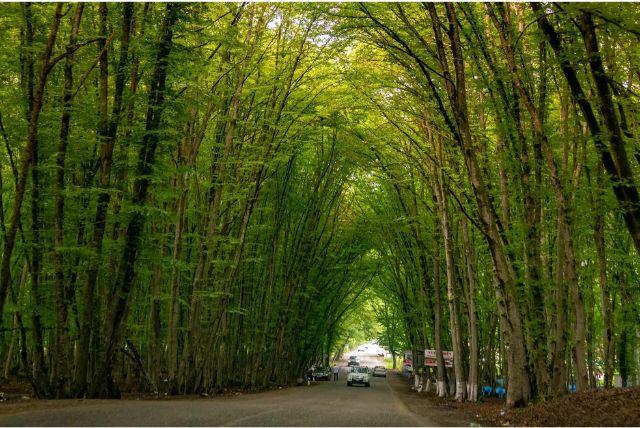 סיור יום מבאקו אל חיזי וקובה כולל ביקור בריזורט שאחדאג והאגם הורוד credit to getyourguide.com